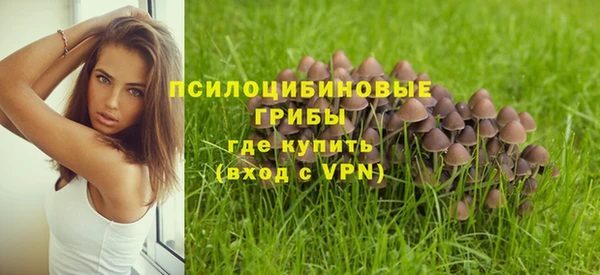 MESCALINE Баксан