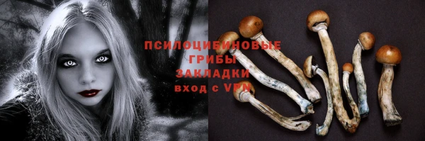 ECSTASY Балабаново