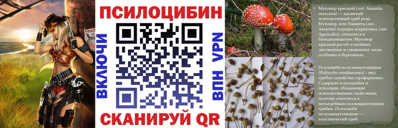 даркнет сайт  Хадыженск  Псилоцибиновые грибы Psilocybe 